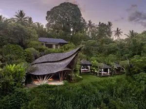 هتل westin ubud اوبود تور بالی