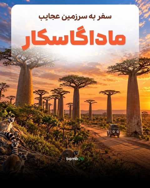 تور ماداگاسکار