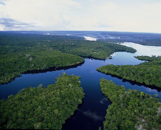 manaus-amazon-brazil-eco-park-view