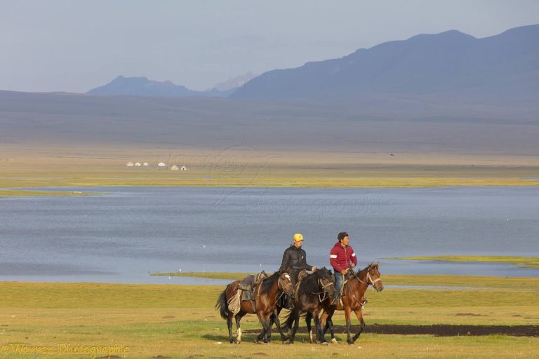 اسب سواری قرقیزستان
