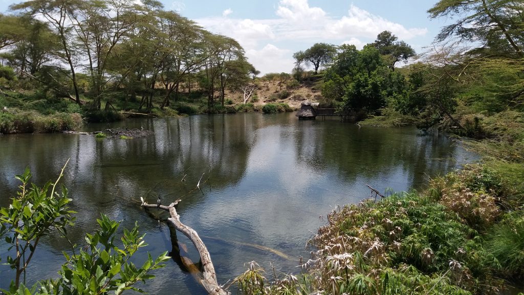 چشمه‌های مزیما کنیا