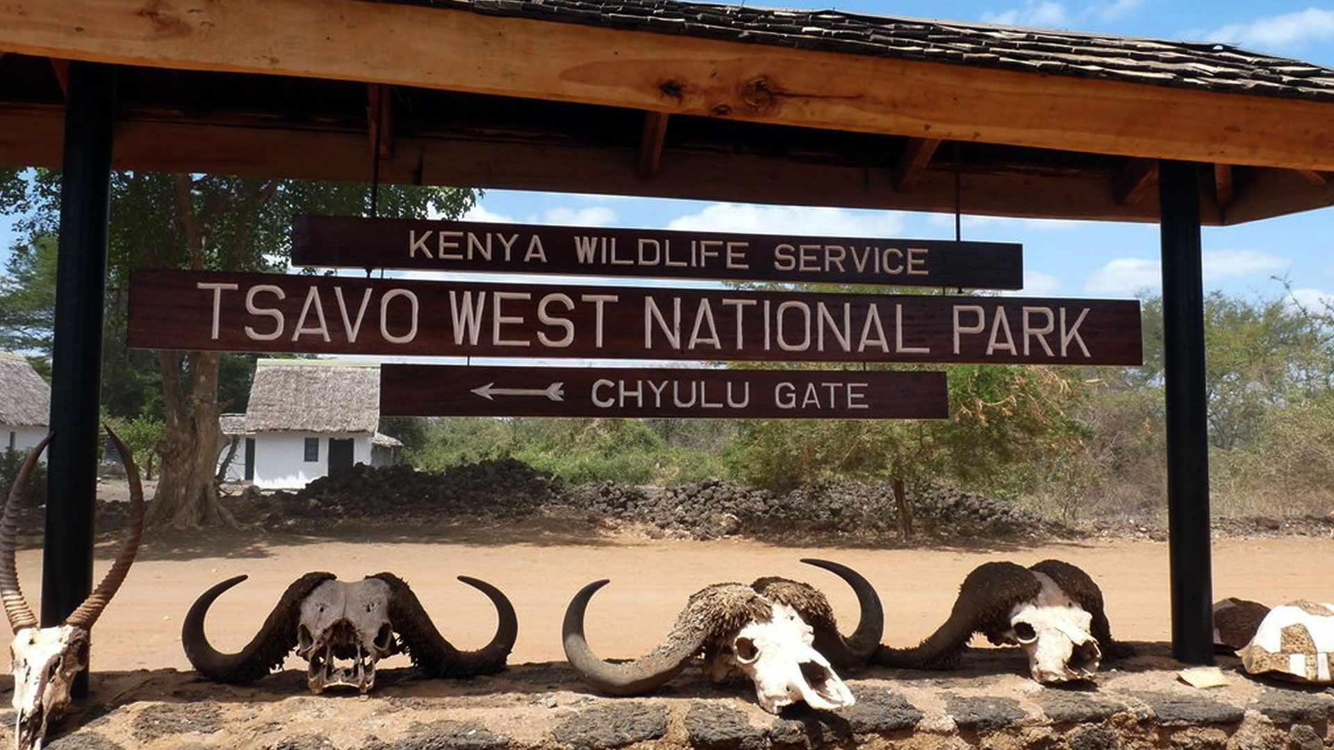 پارک ملی ساوو کنیا