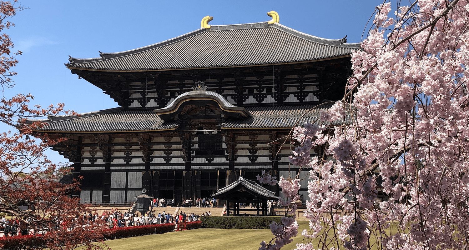 معرفی معبد تودایجی و پارک آهوها در شهر نارا ژاپن 3 todaiji temple
