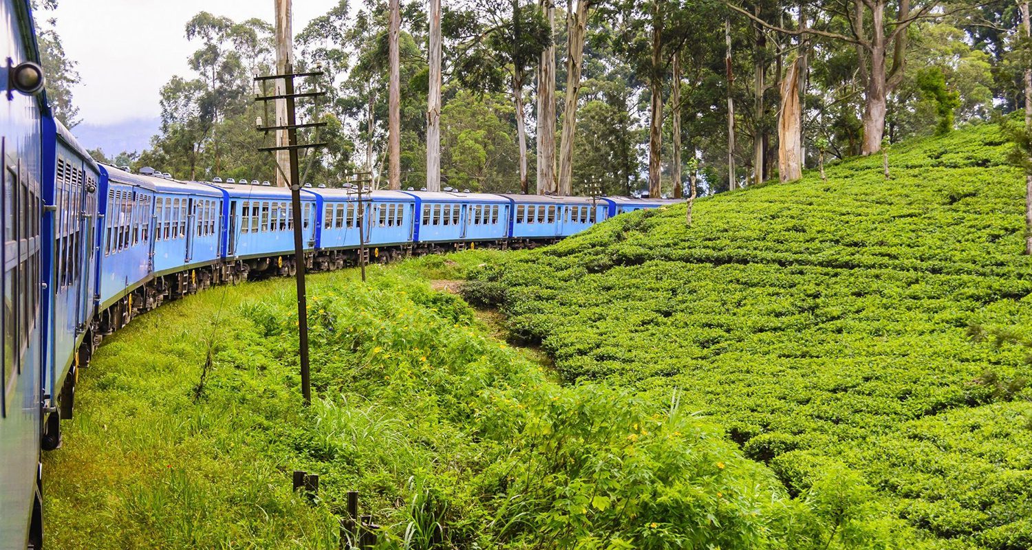 Nuwara Eliya