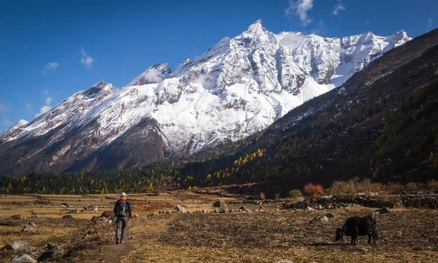 Annapurna Circuit Trek