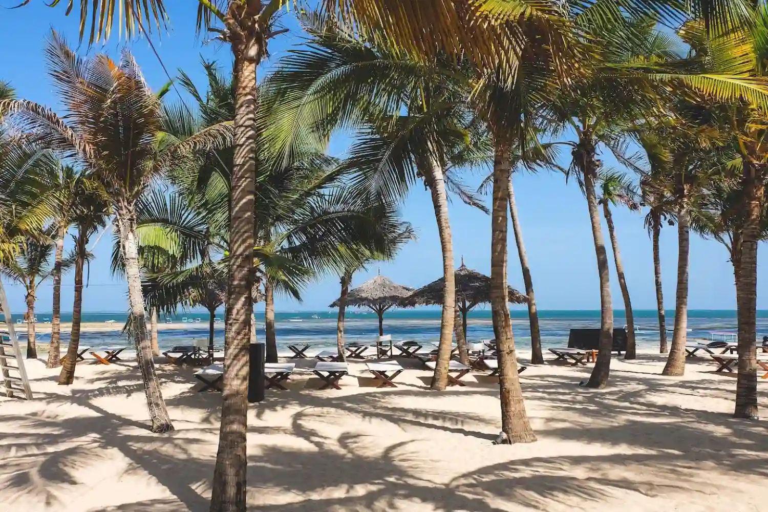 ساحل مالیندی (Malindi Beach) کنیا