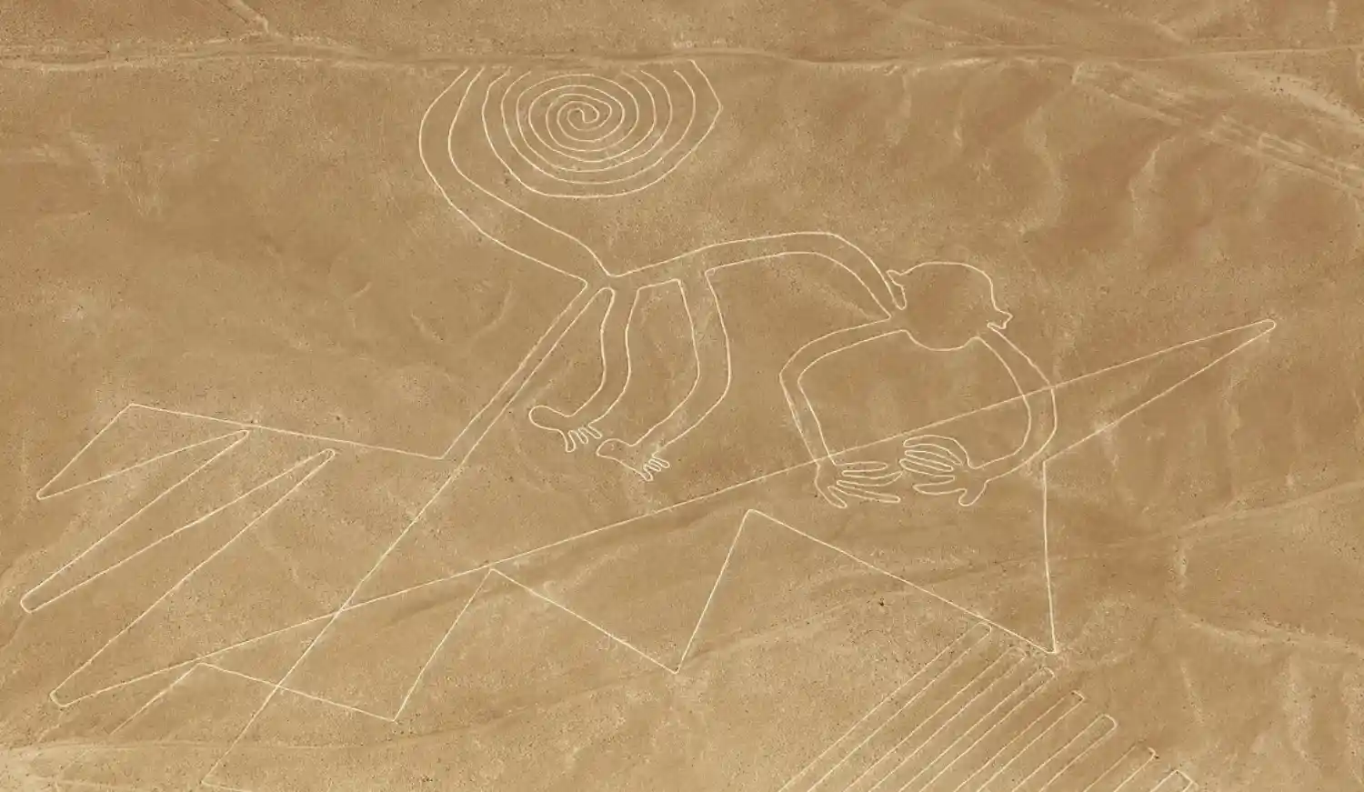 معروف‌ترین ژئوگلیف‌ جهان، خطوط نازکا (Nazca Lines)