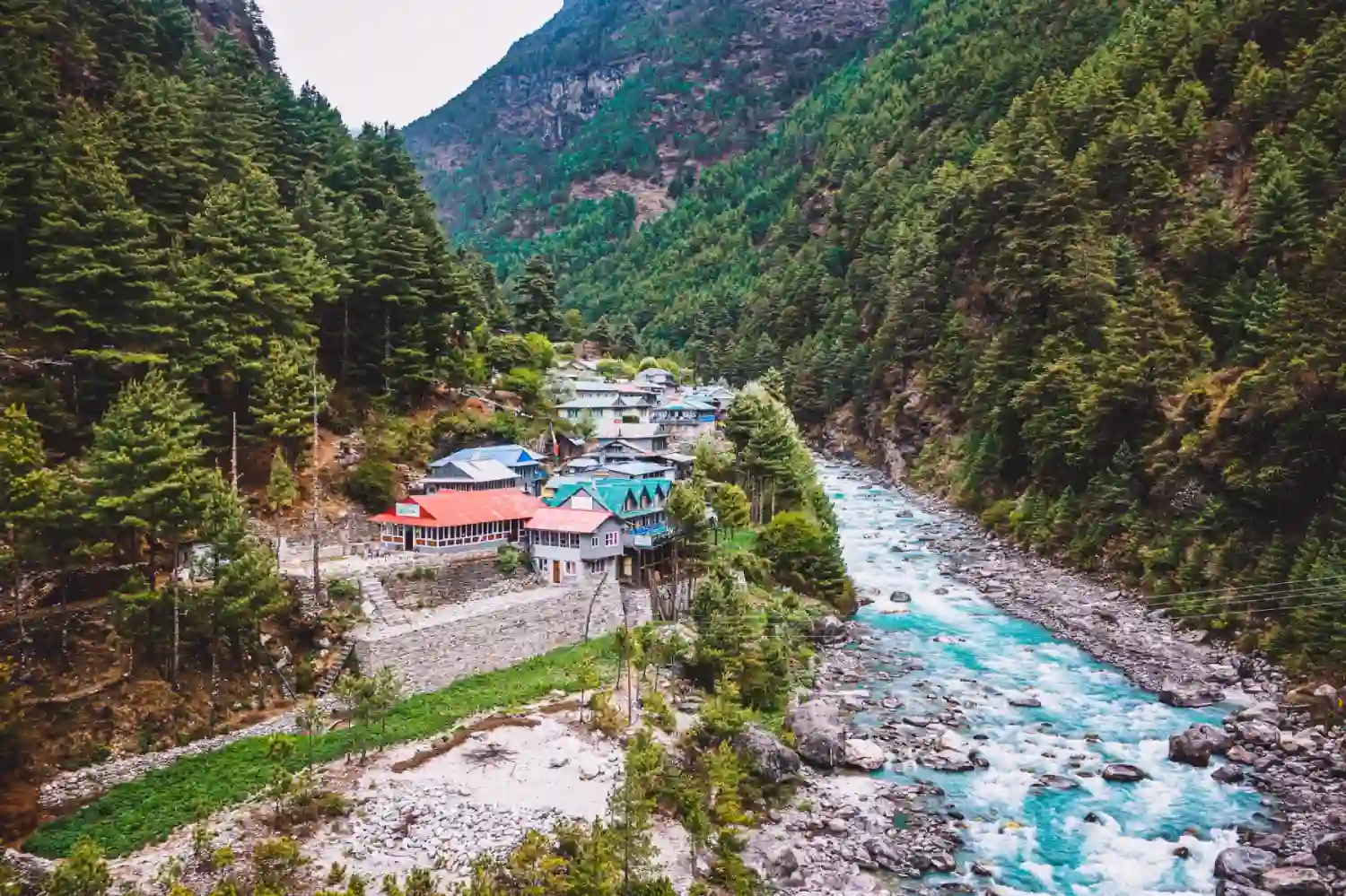 بهترین زمان بازدید از نامچه بازار