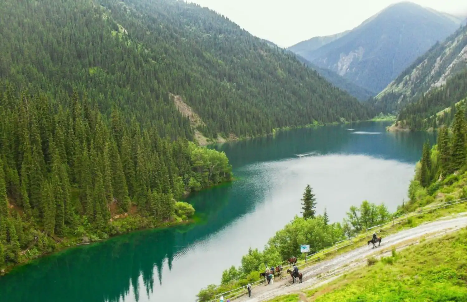 دریاچه کایندی؛ درختان غرق‌شده در آب