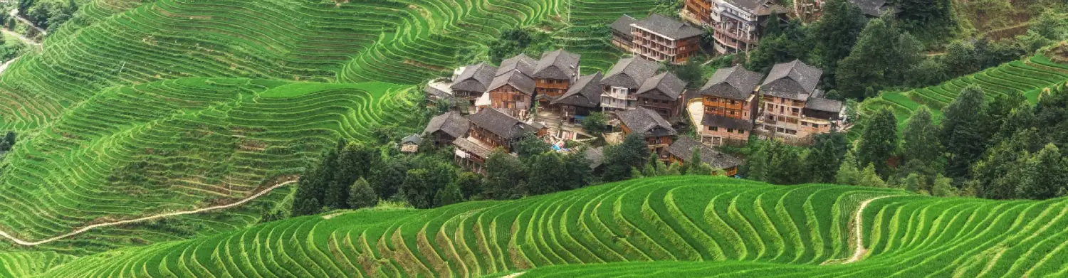 تراس‌های برنج لانگجی (Longji Rice Terraces)
