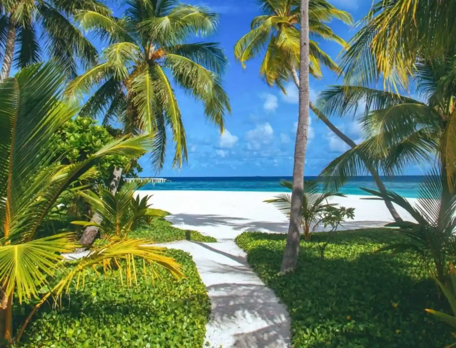 ساحل نیالی (Beach Nyali)