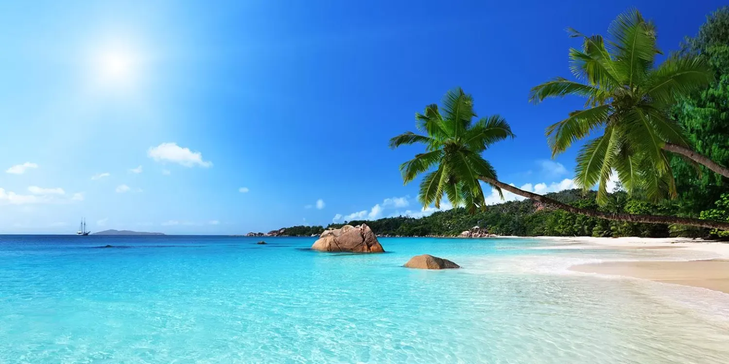 ساحل شلی (Beach Shelly)
