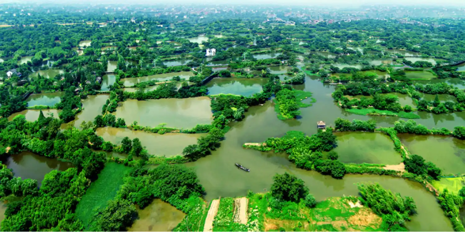 شهر آبی شیشی (Xixi Wetland Park)