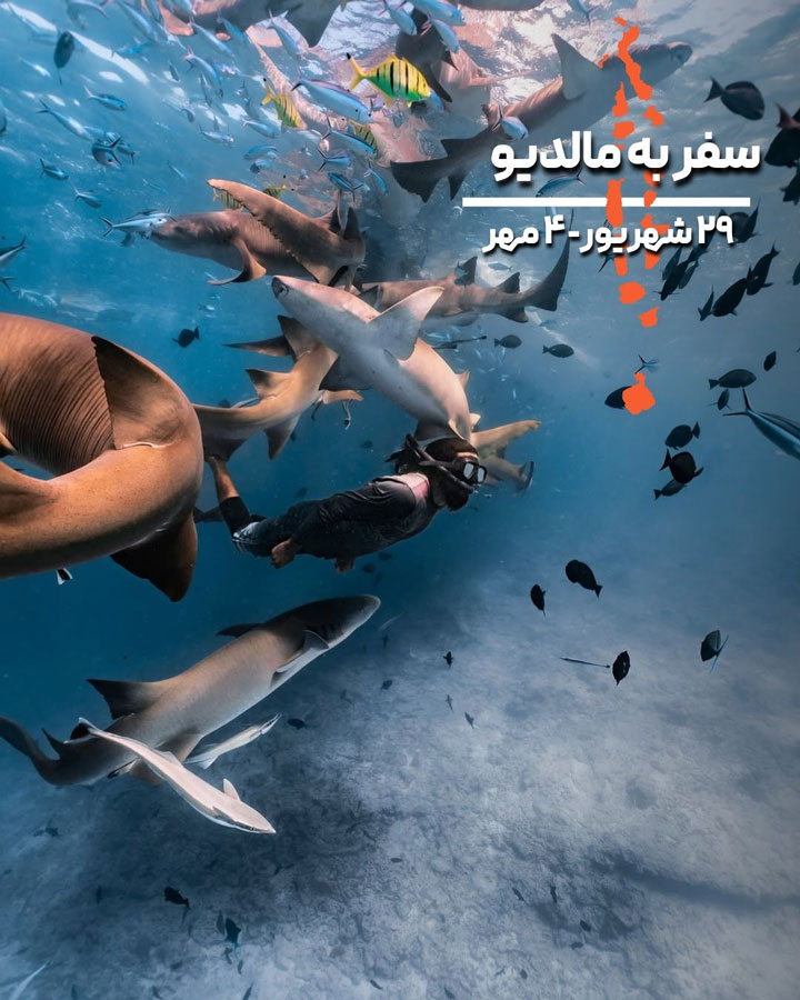 تور مالدیو