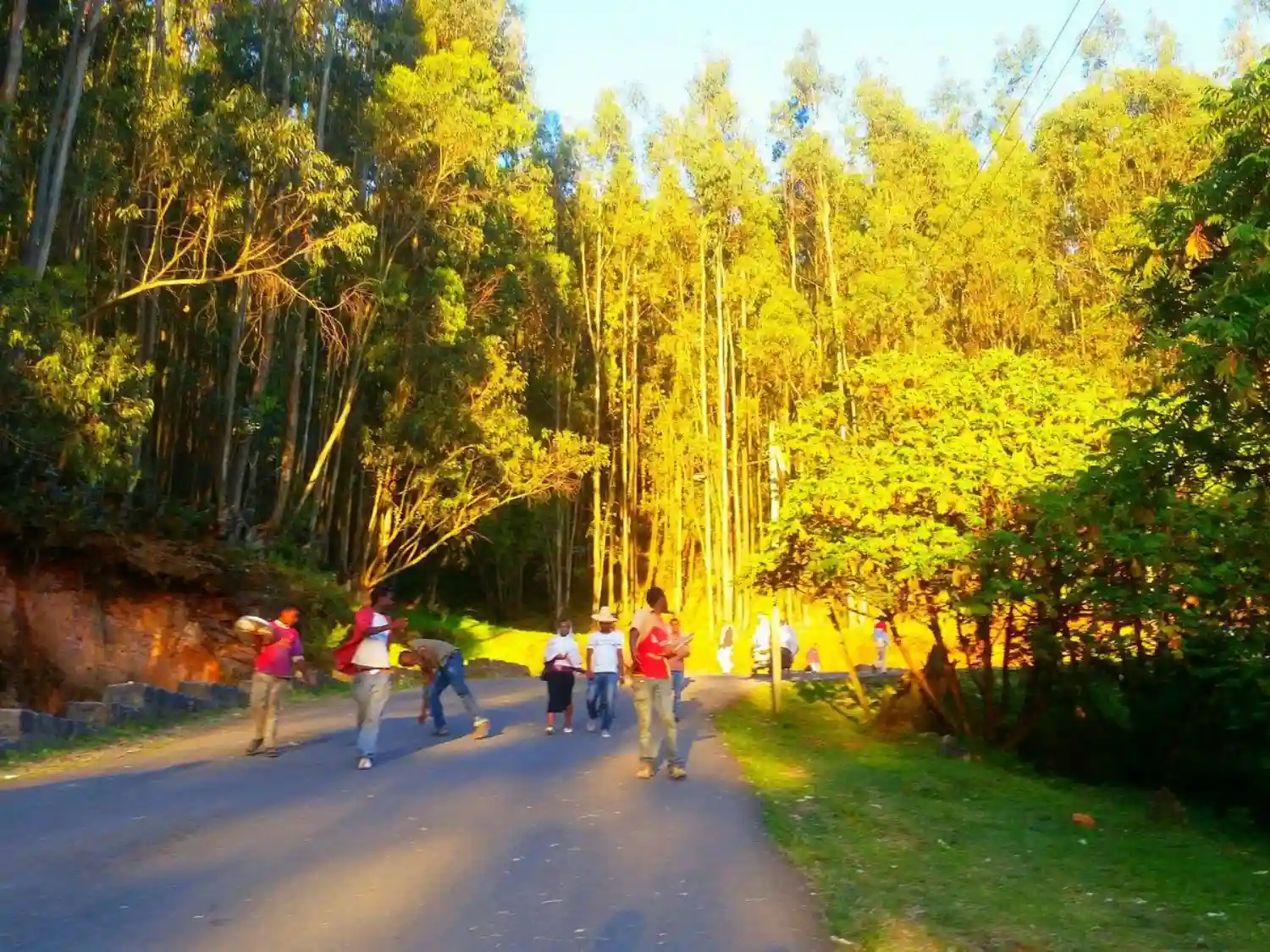 آدیس آبابا (Addis Ababa)