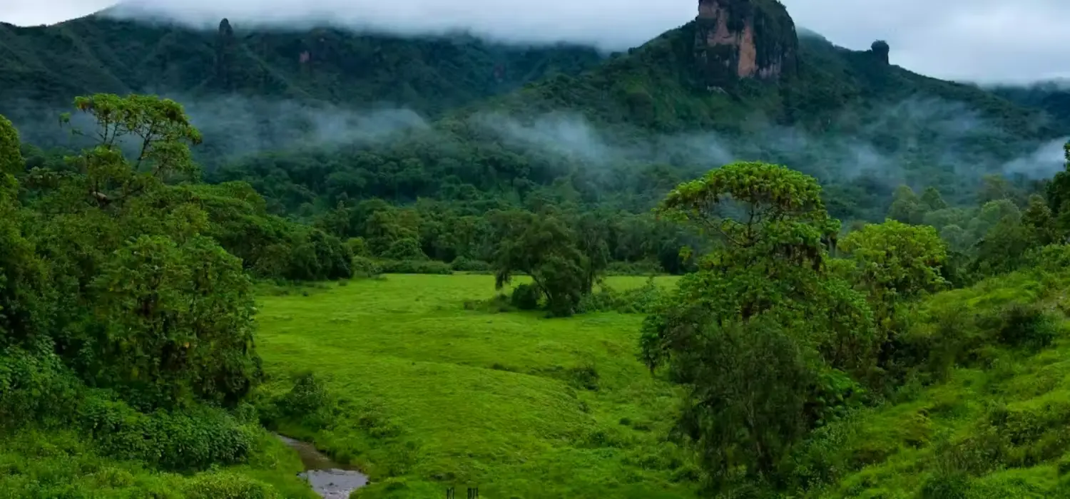 پارک ملی کوه‌های باله (Bale Mountains National Park)