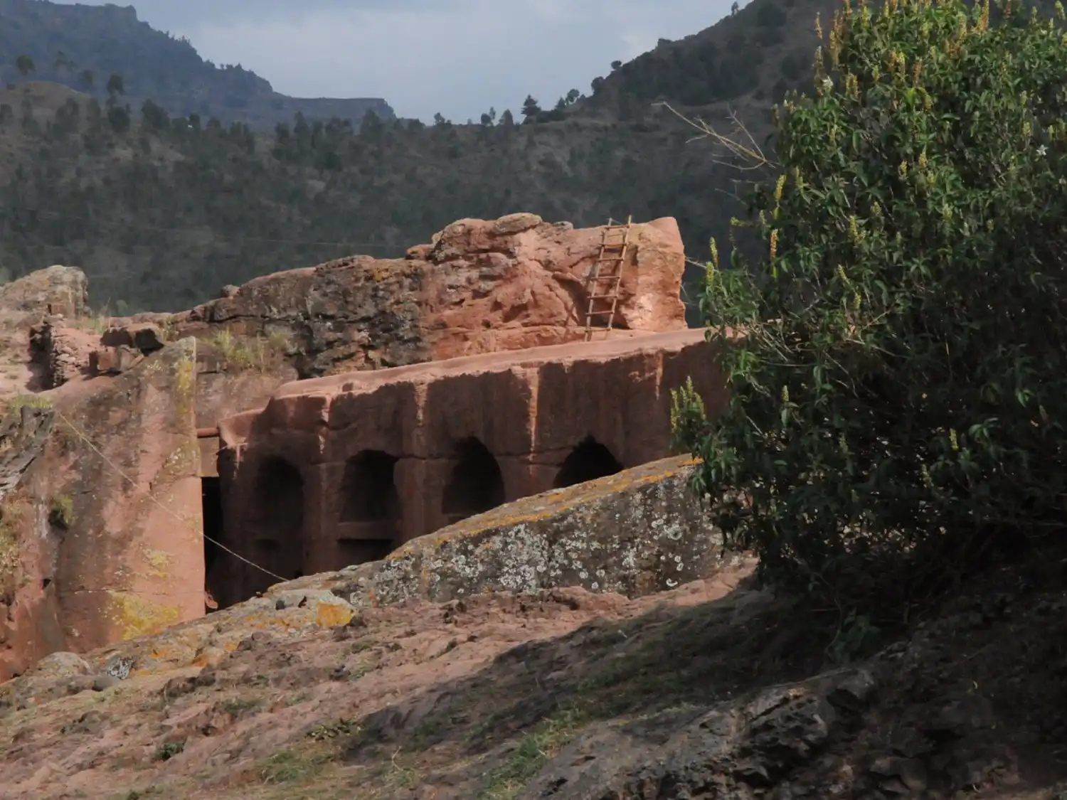 لالیبلا