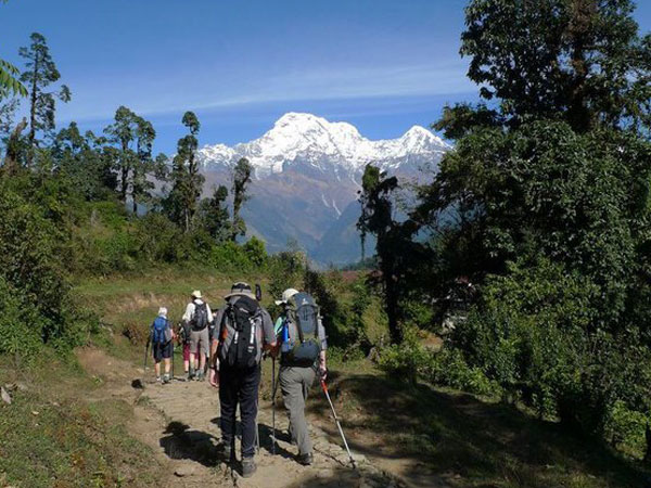ترکینگ کمپ استرالیایی های نپال