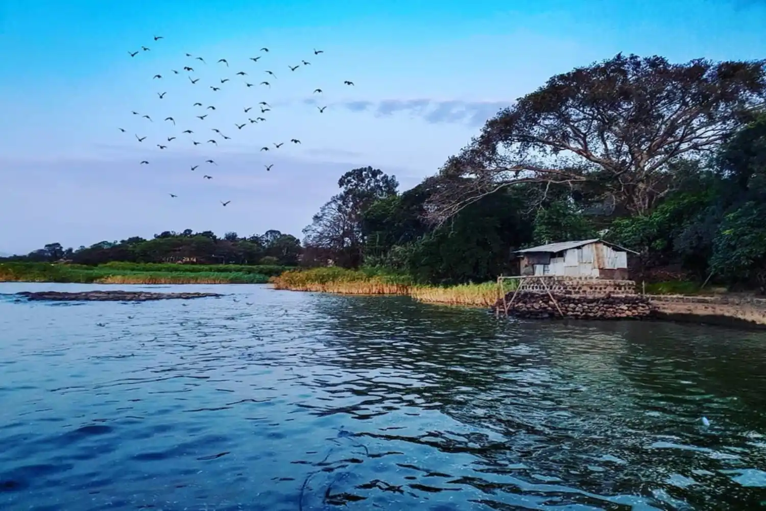 دریاچه تانا (Lake Tana)