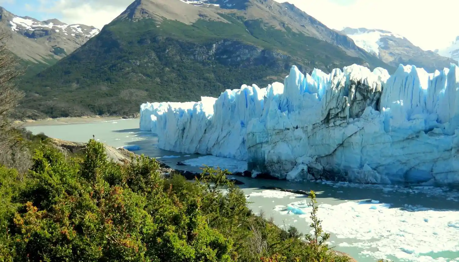 یخچال پریتو مورنو