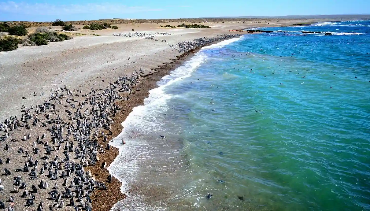 ذخیره‌گاه ملی پونتا تومبو (Punta Tombo National Reserve)