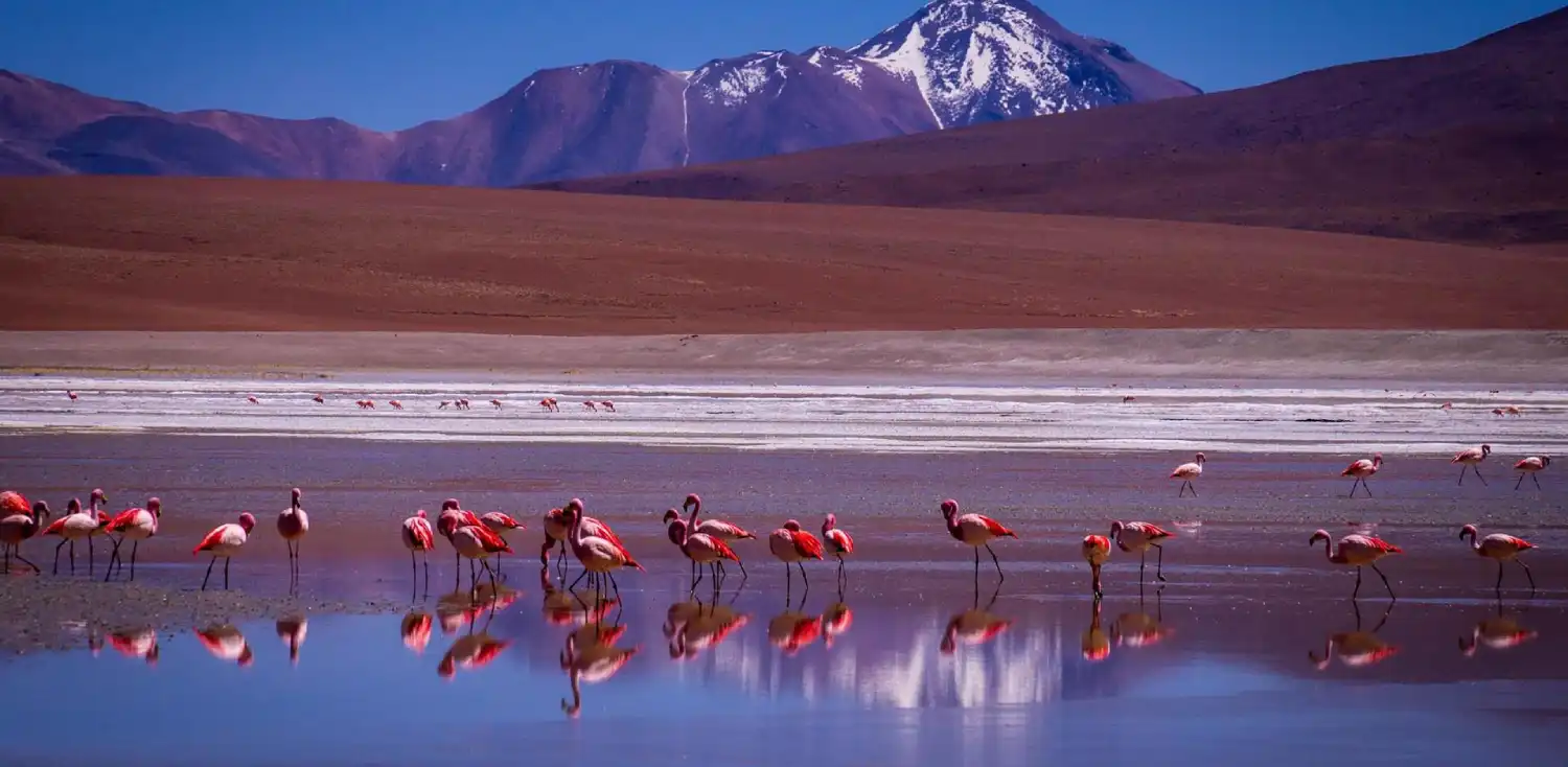 بهترین جاهای دیدنی بولیوی