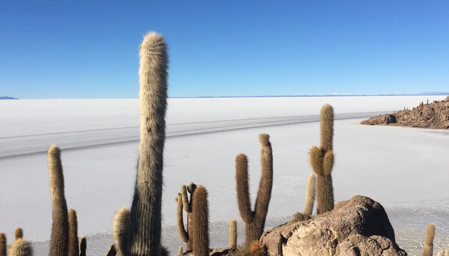 جزیره اینکاواسی