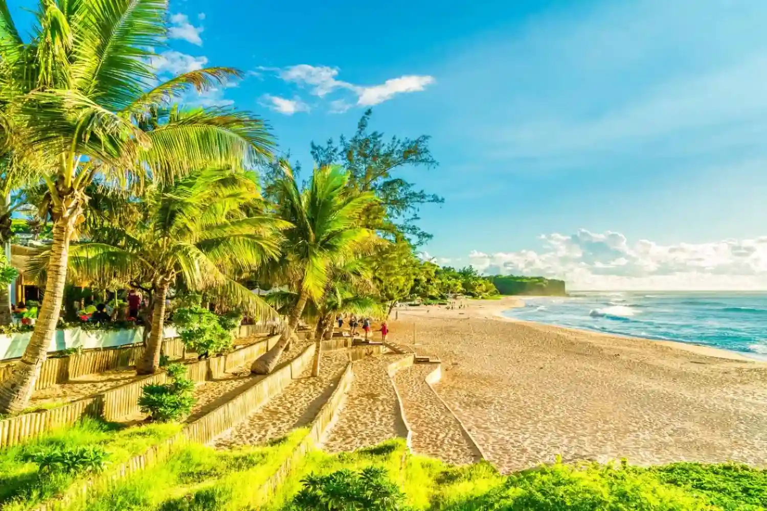 پارک ملی دریایی مالیندی؛ غواصی در بهشت مرجان‌ها