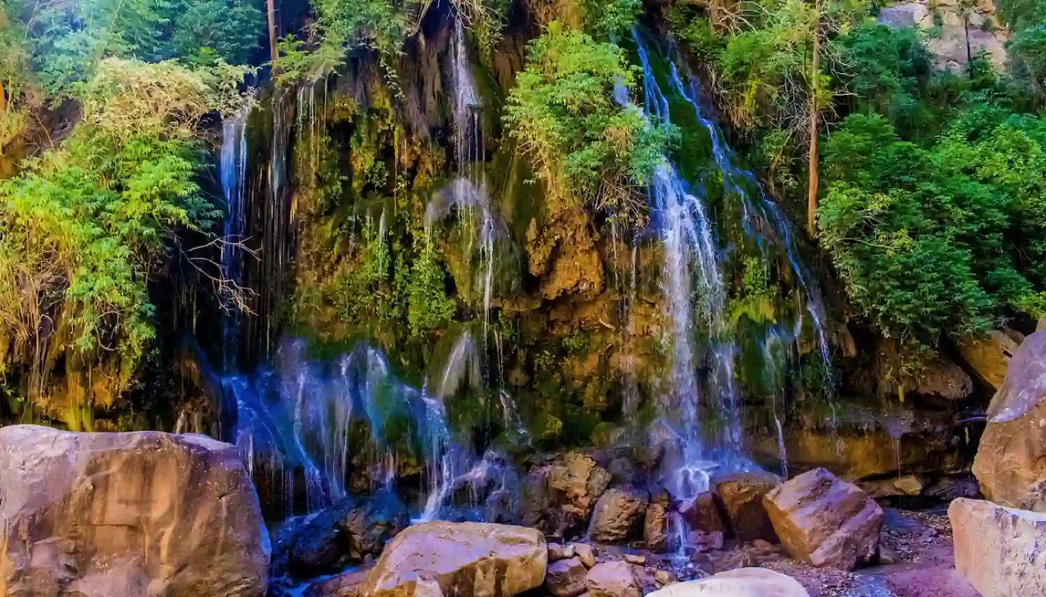 پارک ملی تورو تورو