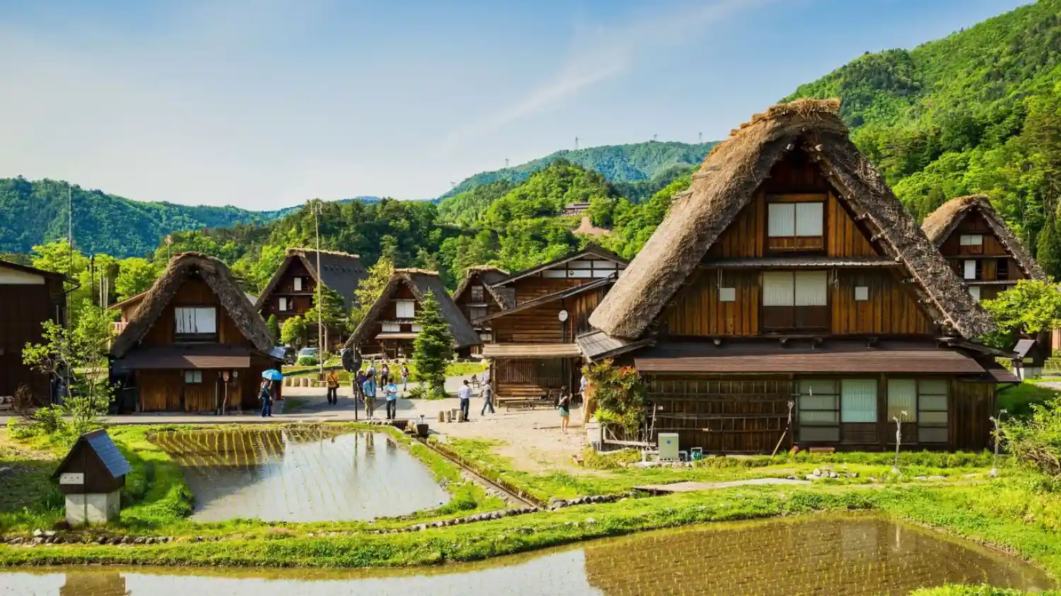 تجربه زندگی در روستاهای ژاپن با بامبو اکوتور