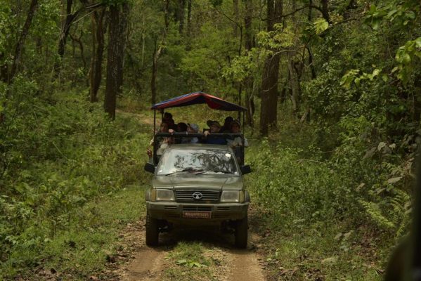 Safari Chitwan Nepal سافاری در چیتوان نپال