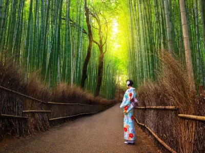 جاهای دیدنی ژاپن جنگل بامبو کیوتو