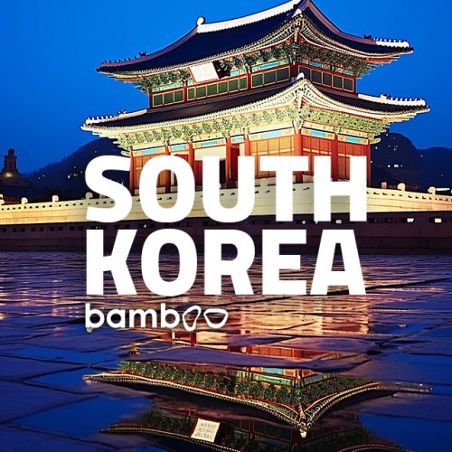 south korea tour تور کره جنوبی